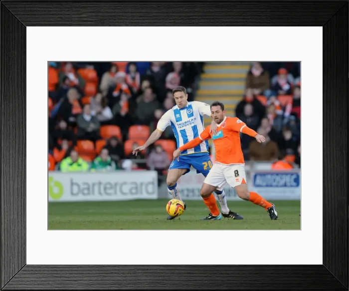 Framed Print : Brighton & Hove Albion vs. Blackpool: Away Game - December 29, 2013 (Season 2013-14)