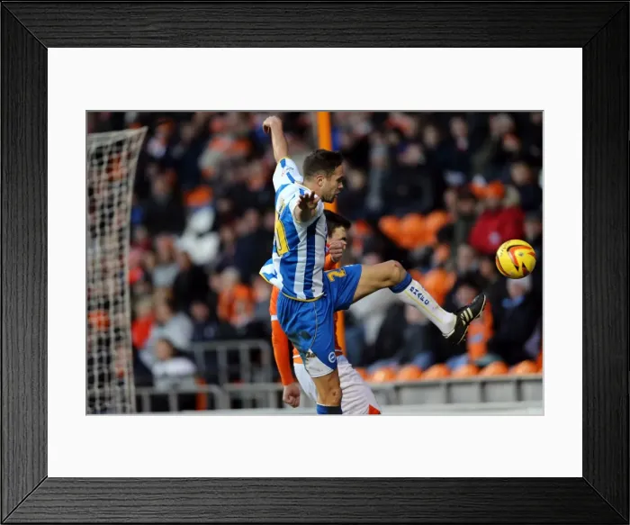 Framed Print : Brighton & Hove Albion Away at Blackpool (2013-14 Season)