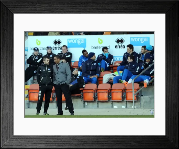 Framed Print : Brighton & Hove Albion vs. Blackpool: 2013-14 Away Game (December 29, 2013) Framed Print : Brighton & Hove Albion vs. Blackpool: 2013-14 Away Game (December 29, 2013)