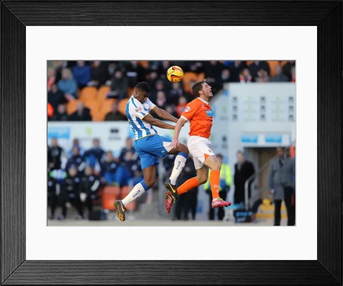 Framed Print : Brighton & Hove Albion Away at Blackpool (2013-14 Season)