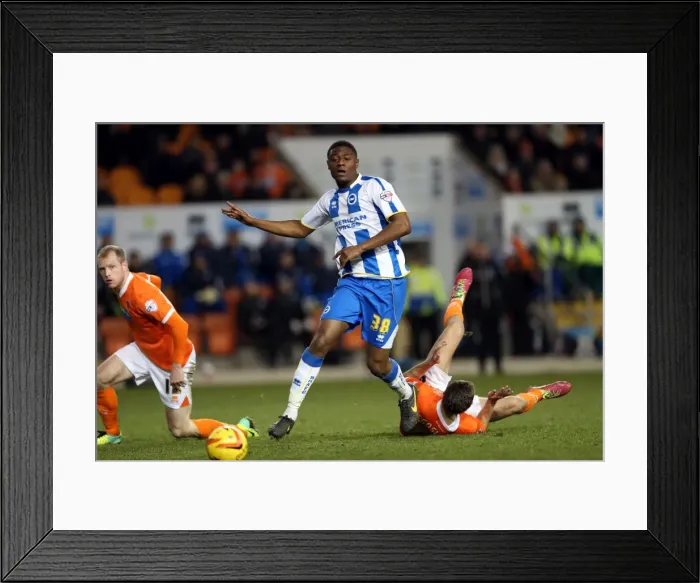 Framed Print : Brighton & Hove Albion Away at Blackpool (December 29, 2013) - Season 2013-14