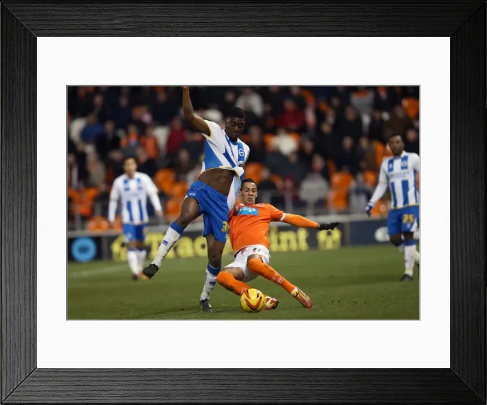 Framed Print : Brighton & Hove Albion Away at Blackpool (2013-14 Season)