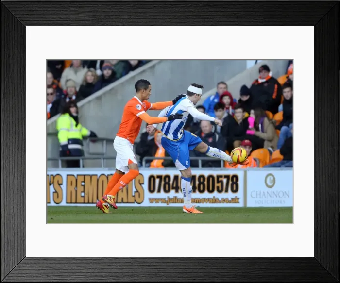 Framed Print : Brighton & Hove Albion Away at Blackpool (2013-14 Season) Framed Print : Brighton & Hove Albion Away at Blackpool (2013-14 Season)
