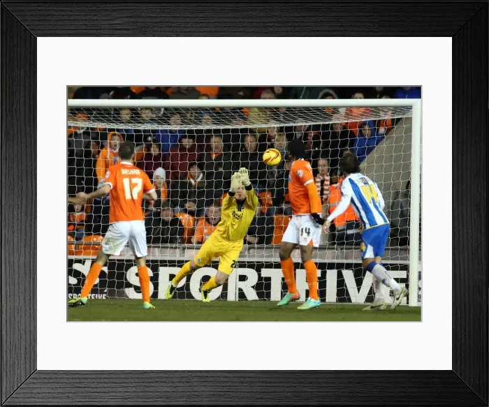 Framed Print : Brighton & Hove Albion Away at Blackpool (2013-14 Season) Framed Print : Brighton & Hove Albion Away at Blackpool (2013-14 Season)