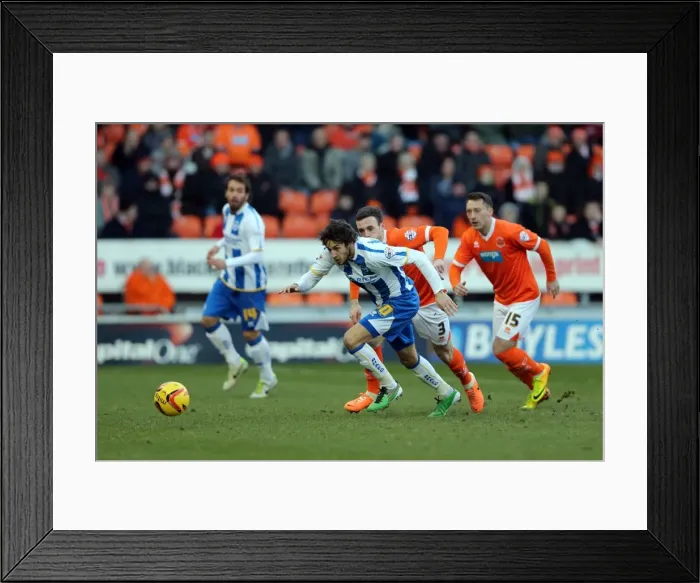 Framed Print : Brighton & Hove Albion vs. Blackpool: Away Game - December 29, 2013