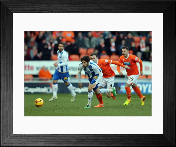 Framed Print : Brighton & Hove Albion Away at Blackpool (2013-14 Season) Framed Print : Brighton & Hove Albion Away at Blackpool (2013-14 Season)