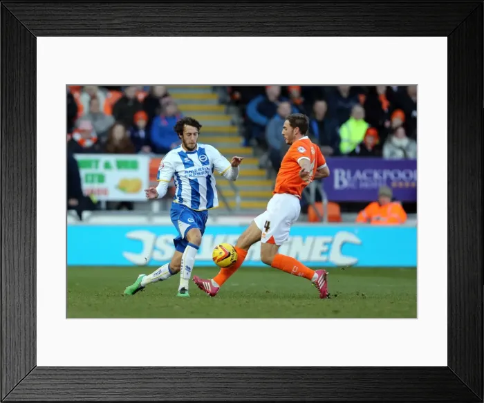 Framed Print : Brighton & Hove Albion Away at Blackpool (2013-14 Season) Framed Print : Brighton & Hove Albion Away at Blackpool (2013-14 Season)