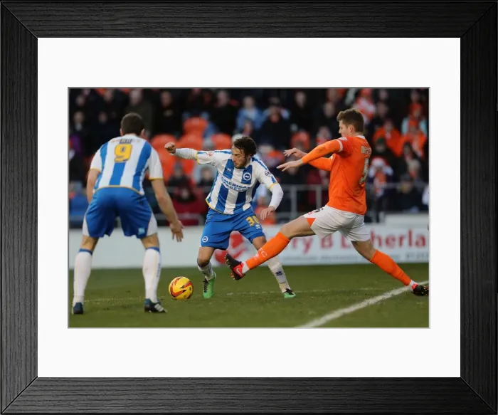 Framed Print : Brighton & Hove Albion vs. Blackpool: Away Game - December 29, 2013 (Season 2013-14)