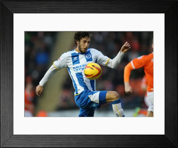 Framed Print : Brighton & Hove Albion Away at Blackpool (2013-14 Season) - 29-12-2013 Framed Print : Brighton & Hove Albion Away at Blackpool (2013-14 Season) - 29-12-2013