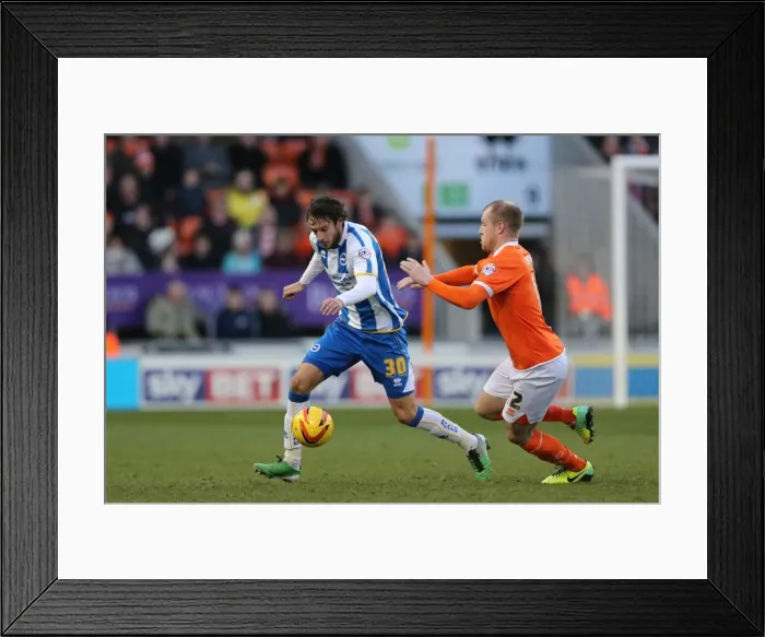 Framed Print : Brighton & Hove Albion vs. Blackpool: Away Game - December 29, 2013 Framed Print : Brighton & Hove Albion vs. Blackpool: Away Game - December 29, 2013