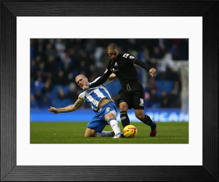 Framed Print : Brighton & Hove Albion vs. Bournemouth: 2013-14 Home Match Framed Print : Brighton & Hove Albion vs. Bournemouth: 2013-14 Home Match