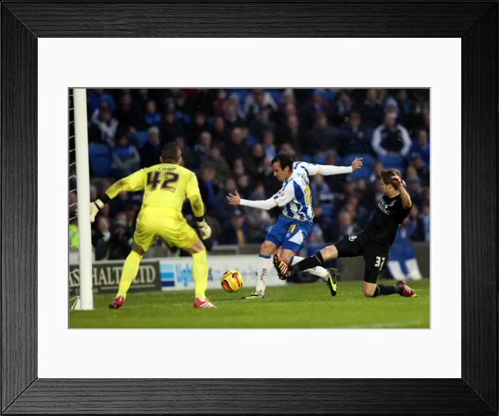 Framed Print : Brighton & Hove Albion vs. Bournemouth: Home Battle (January 1, 2014) Framed Print : Brighton & Hove Albion vs. Bournemouth: Home Battle (January 1, 2014)