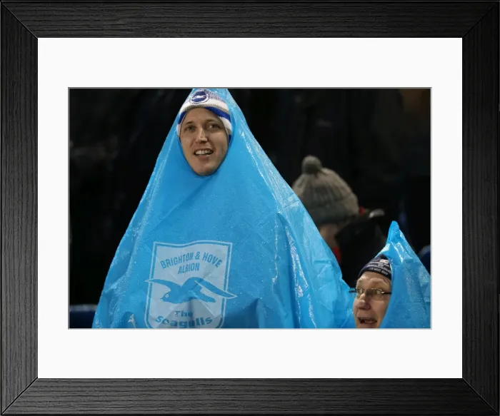Framed Print : Brighton & Hove Albion vs Bournemouth: Home Game (January 1, 2014) Framed Print : Brighton & Hove Albion vs Bournemouth: Home Game (January 1, 2014)