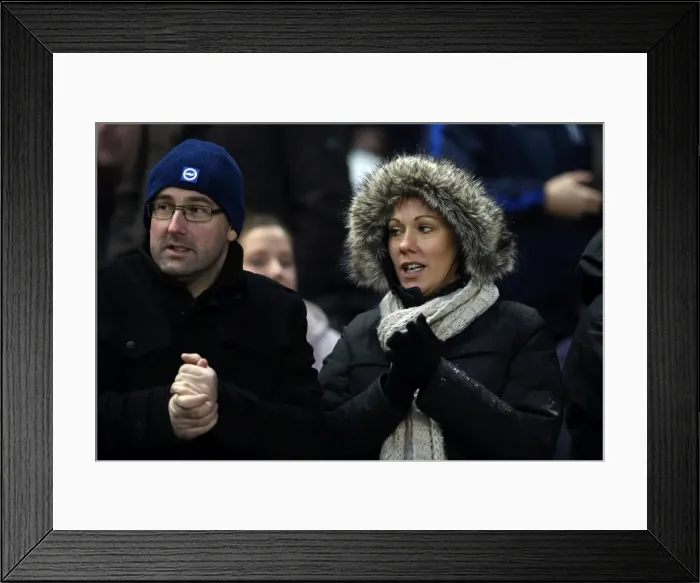 Framed Print : Brighton & Hove Albion vs. Bournemouth: Home Battle (January 1, 2014) Framed Print : Brighton & Hove Albion vs. Bournemouth: Home Battle (January 1, 2014)