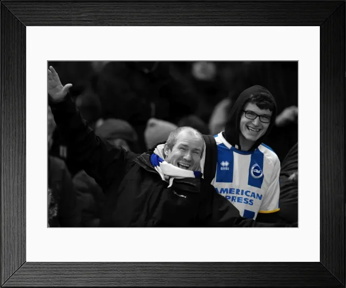 Framed Print : Brighton & Hove Albion vs Bournemouth: Home Game - January 1, 2014 Framed Print : Brighton & Hove Albion vs Bournemouth: Home Game - January 1, 2014