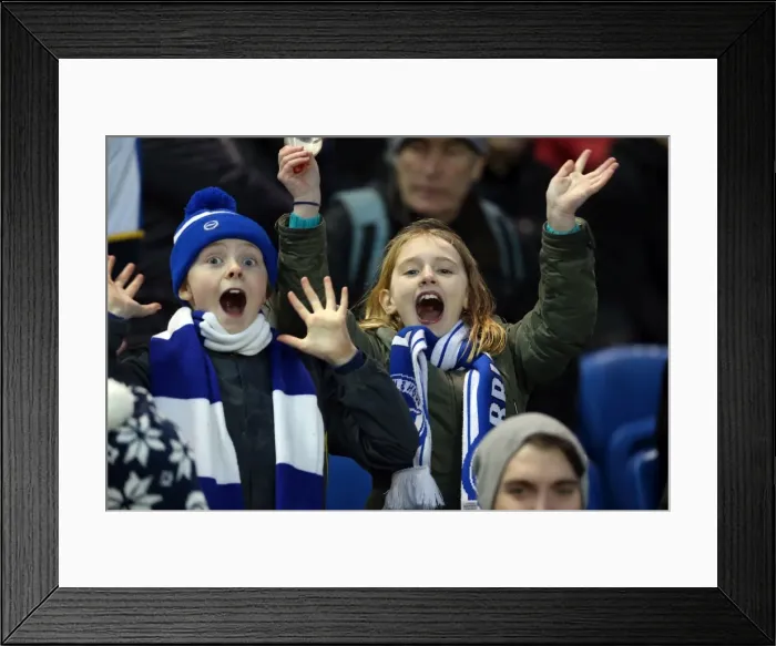 Framed Print : Brighton & Hove Albion vs. Bournemouth: Home Match (January 1, 2014) Framed Print : Brighton & Hove Albion vs. Bournemouth: Home Match (January 1, 2014)