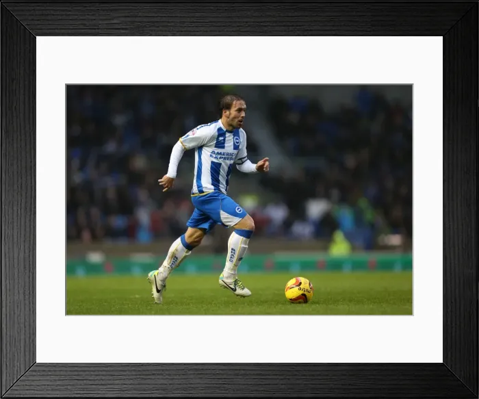 Framed Print : Brighton & Hove Albion vs. Bournemouth: Home Match (January 1, 2014) Framed Print : Brighton & Hove Albion vs. Bournemouth: Home Match (January 1, 2014)
