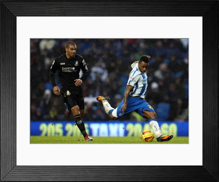 Framed Print : Brighton & Hove Albion vs. Bournemouth: Home Match (January 1, 2014) Framed Print : Brighton & Hove Albion vs. Bournemouth: Home Match (January 1, 2014)