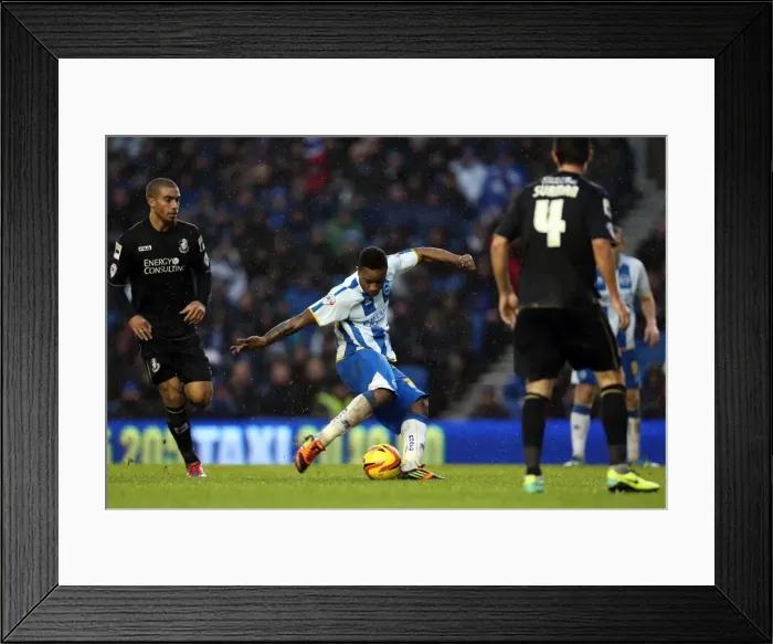 Framed Print : Brighton & Hove Albion vs. Bournemouth: Home Game (January 1, 2014) Framed Print : Brighton & Hove Albion vs. Bournemouth: Home Game (January 1, 2014)