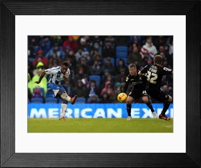 Framed Print : Brighton & Hove Albion vs Bournemouth: Home Battle - January 1, 2014 (Season 2013-14) Framed Print : Brighton & Hove Albion vs Bournemouth: Home Battle - January 1, 2014 (Season 2013-14)