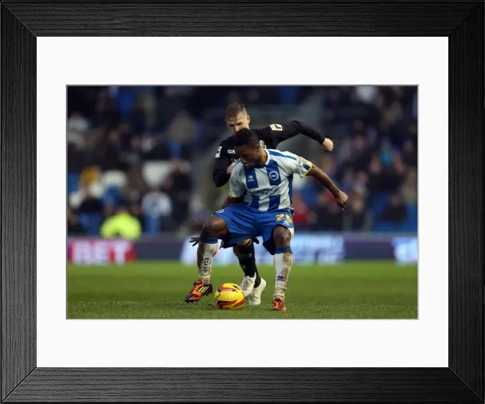 Framed Print : Brighton & Hove Albion vs. Bournemouth: Home Game - January 1, 2014 (Season 2013-14) Framed Print : Brighton & Hove Albion vs. Bournemouth: Home Game - January 1, 2014 (Season 2013-14)