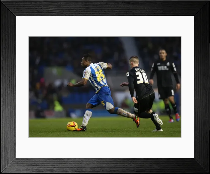 Framed Print : Brighton & Hove Albion vs. Bournemouth: Home Game (January 1, 2014) Framed Print : Brighton & Hove Albion vs. Bournemouth: Home Game (January 1, 2014)