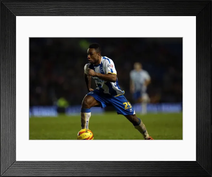 Framed Print : Brighton & Hove Albion vs. Bournemouth: Home Game (January 1, 2014) Framed Print : Brighton & Hove Albion vs. Bournemouth: Home Game (January 1, 2014)