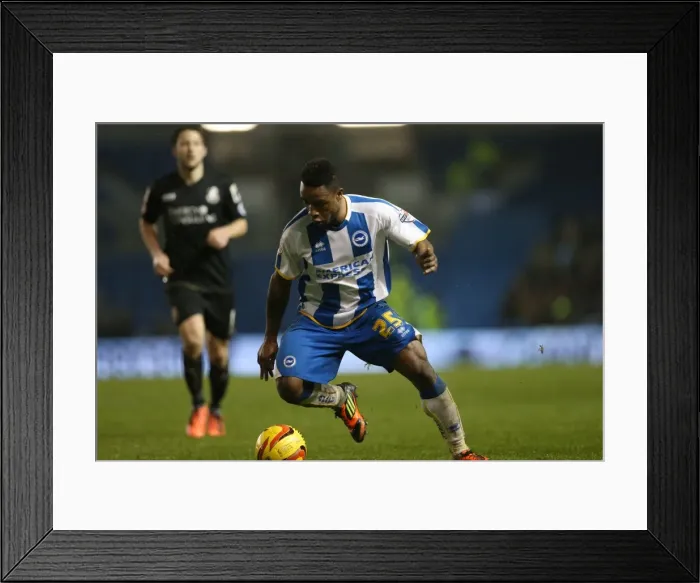 Framed Print : Brighton & Hove Albion vs Bournemouth: Home Game - January 1, 2014 (Season 2013-14) Framed Print : Brighton & Hove Albion vs Bournemouth: Home Game - January 1, 2014 (Season 2013-14)