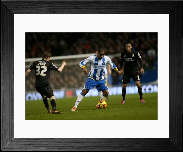 Framed Print : Brighton & Hove Albion vs. Bournemouth: Home Game - January 1, 2014 Framed Print : Brighton & Hove Albion vs. Bournemouth: Home Game - January 1, 2014