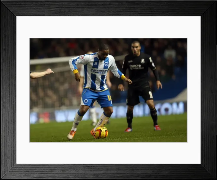 Framed Print : Brighton & Hove Albion vs. Bournemouth: Home Game (January 1, 2014) Framed Print : Brighton & Hove Albion vs. Bournemouth: Home Game (January 1, 2014)