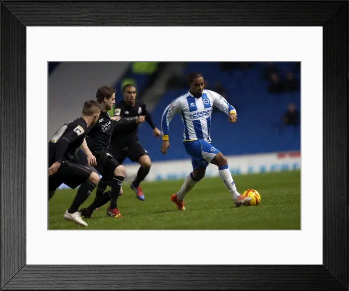 Framed Print : Brighton & Hove Albion vs. Bournemouth: Home Game - January 1, 2014 Framed Print : Brighton & Hove Albion vs. Bournemouth: Home Game - January 1, 2014