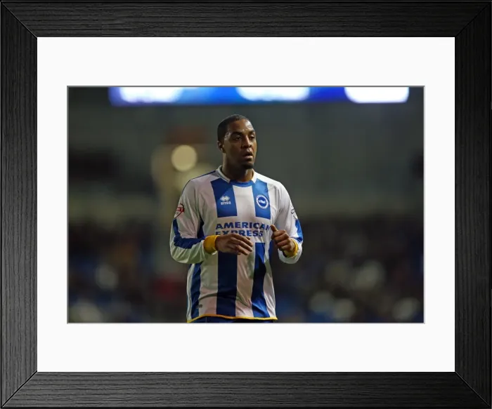 Framed Print : Brighton And Hove Albion Season 2013-14: 2013-14 Home Games: Bournemouth - 01-01-2014 Framed Print : Brighton And Hove Albion Season 2013-14: 2013-14 Home Games: Bournemouth - 01-01-2014