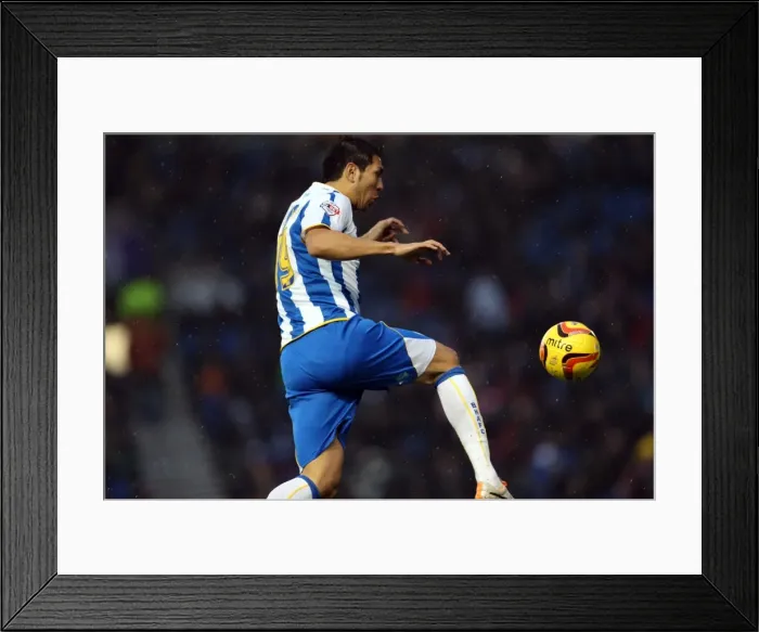 Framed Print : Brighton & Hove Albion vs. Bournemouth: Home Match (01-01-2014) Framed Print : Brighton & Hove Albion vs. Bournemouth: Home Match (01-01-2014)