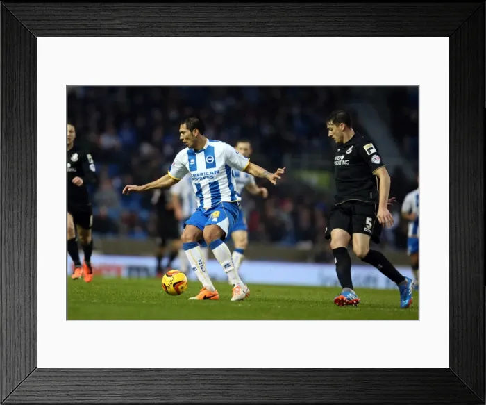 Framed Print : Brighton & Hove Albion vs. Bournemouth: Home Match (January 1, 2014) Framed Print : Brighton & Hove Albion vs. Bournemouth: Home Match (January 1, 2014)