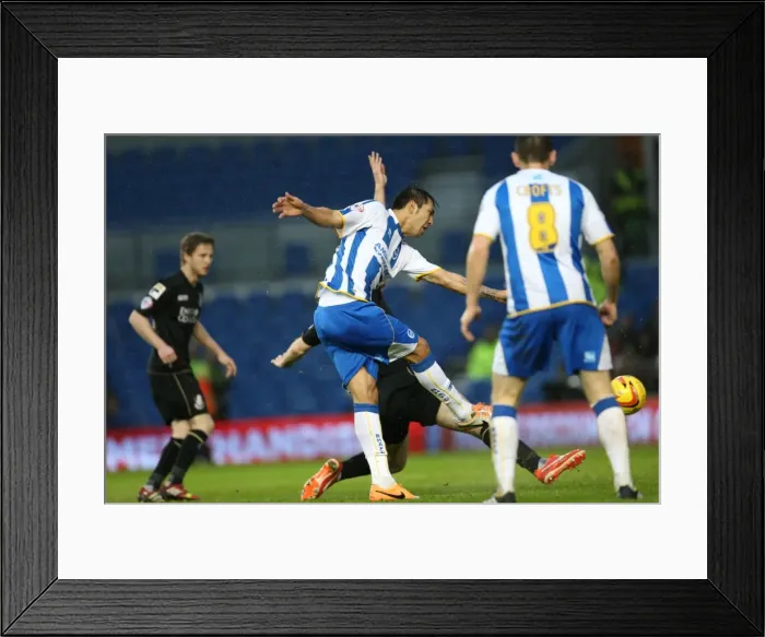 Framed Print : Brighton & Hove Albion vs. Bournemouth: Home Game - January 1, 2014 (Season 2013-14) Framed Print : Brighton & Hove Albion vs. Bournemouth: Home Game - January 1, 2014 (Season 2013-14)
