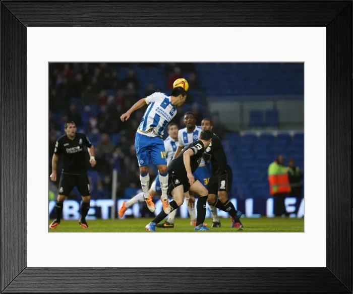 Framed Print : Brighton & Hove Albion vs. Bournemouth: Home Game - January 1, 2014 Framed Print : Brighton & Hove Albion vs. Bournemouth: Home Game - January 1, 2014
