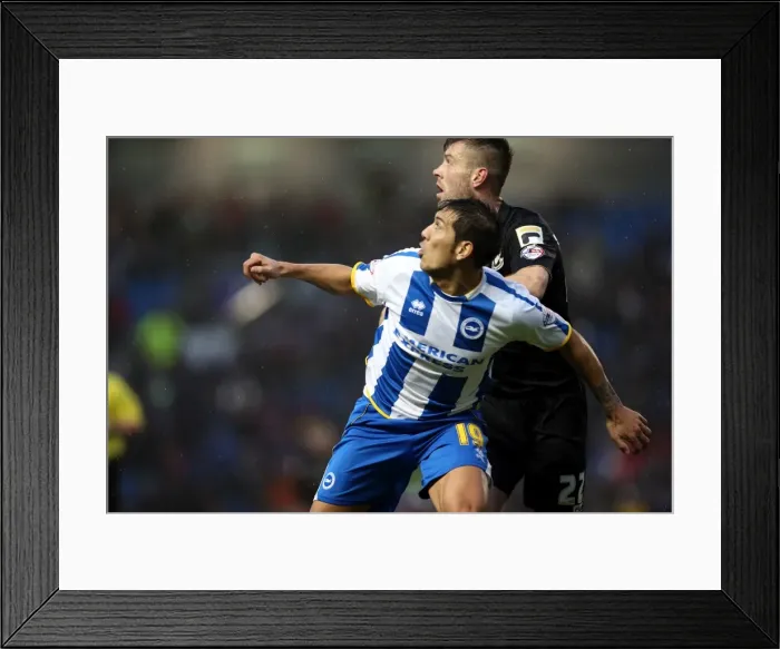 Framed Print : Brighton & Hove Albion vs. Bournemouth: Home Game - January 1, 2014 Framed Print : Brighton & Hove Albion vs. Bournemouth: Home Game - January 1, 2014