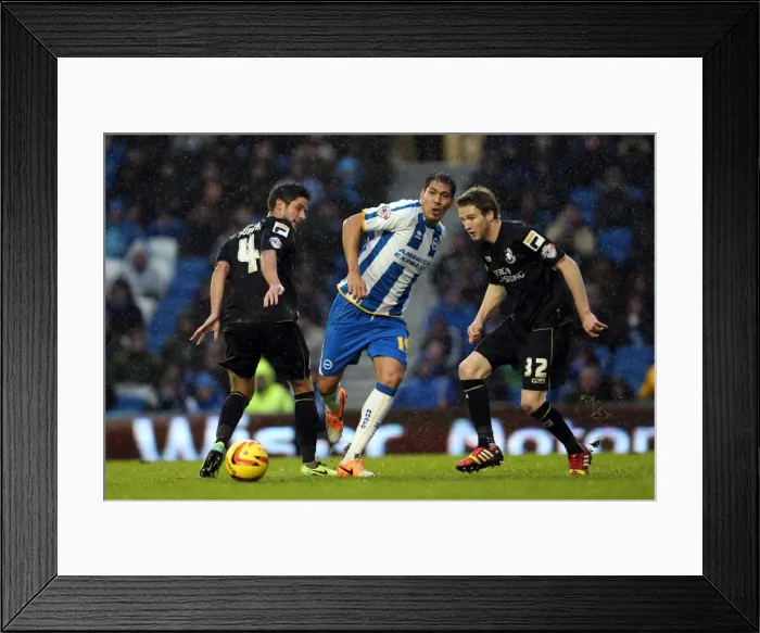Framed Print : Brighton & Hove Albion vs. Bournemouth: Home Game - January 1, 2014 Framed Print : Brighton & Hove Albion vs. Bournemouth: Home Game - January 1, 2014