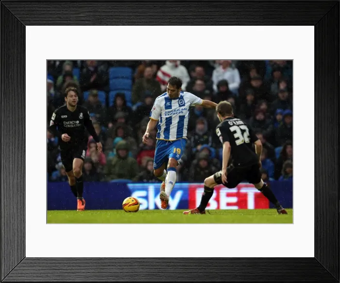 Framed Print : Brighton & Hove Albion vs Bournemouth: Home Game - January 1, 2014 (Season 2013-14) Framed Print : Brighton & Hove Albion vs Bournemouth: Home Game - January 1, 2014 (Season 2013-14)