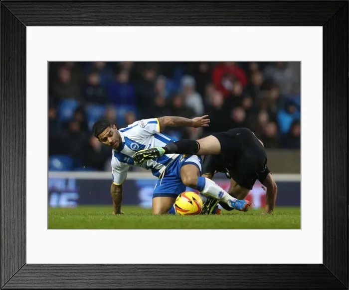 Framed Print : Brighton & Hove Albion vs. Bournemouth: Home Game - January 1, 2014 Framed Print : Brighton & Hove Albion vs. Bournemouth: Home Game - January 1, 2014
