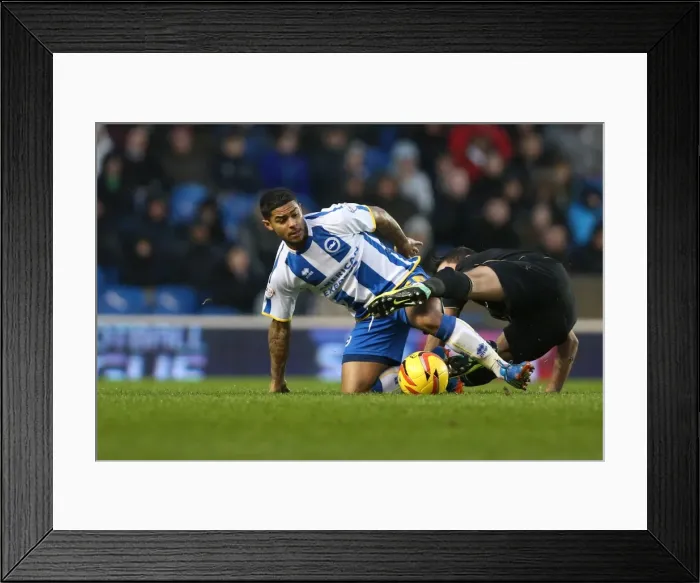 Framed Print : Brighton & Hove Albion vs. Bournemouth: Home Game - January 1, 2014 (Season 2013-14) Framed Print : Brighton & Hove Albion vs. Bournemouth: Home Game - January 1, 2014 (Season 2013-14)