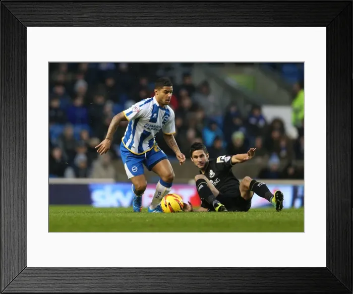 Framed Print : Brighton & Hove Albion vs Bournemouth: Home Game - January 1, 2014 (Season 2013-14) Framed Print : Brighton & Hove Albion vs Bournemouth: Home Game - January 1, 2014 (Season 2013-14)