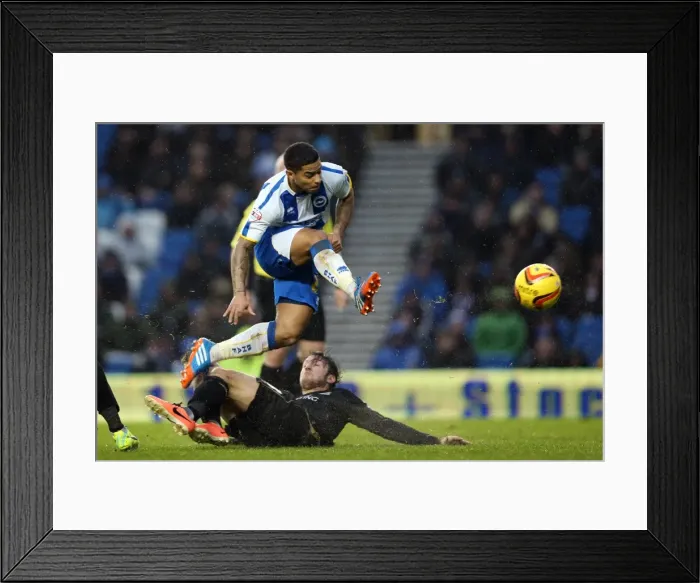 Framed Print : Brighton & Hove Albion vs. Bournemouth: Home Game - January 1, 2014 (Season 2013-14) Framed Print : Brighton & Hove Albion vs. Bournemouth: Home Game - January 1, 2014 (Season 2013-14)