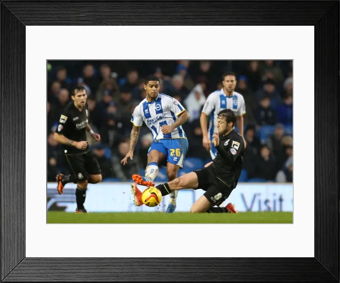 Framed Print : Brighton & Hove Albion vs. Bournemouth: Home Game - January 1, 2014 Framed Print : Brighton & Hove Albion vs. Bournemouth: Home Game - January 1, 2014