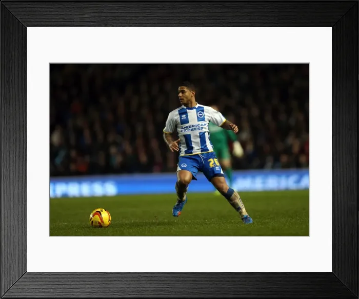 Framed Print : Brighton & Hove Albion vs. Bournemouth: Home Game - January 1, 2014 Framed Print : Brighton & Hove Albion vs. Bournemouth: Home Game - January 1, 2014