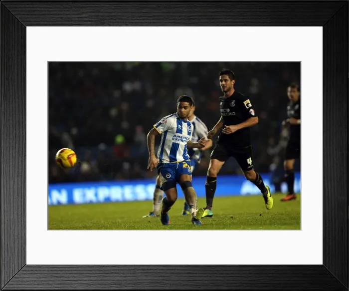 Framed Print : Brighton & Hove Albion vs. Bournemouth: Home Battle (January 1, 2014) Framed Print : Brighton & Hove Albion vs. Bournemouth: Home Battle (January 1, 2014)