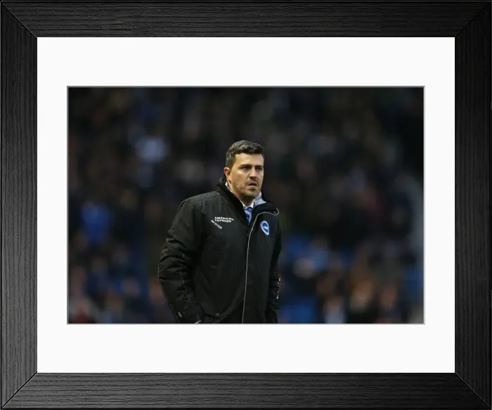 Framed Print : Brighton & Hove Albion vs. Bournemouth: Home Game (January 1, 2014) Framed Print : Brighton & Hove Albion vs. Bournemouth: Home Game (January 1, 2014)