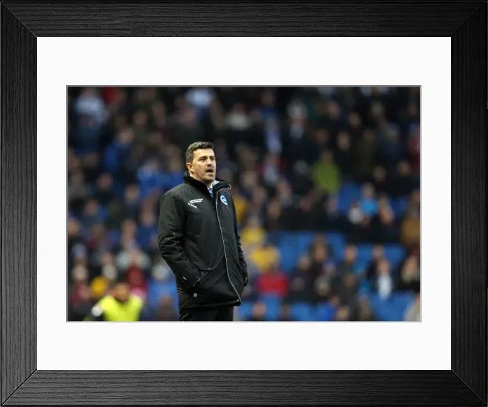 Framed Print : Brighton & Hove Albion vs Bournemouth: Home Game (January 1, 2014) Framed Print : Brighton & Hove Albion vs Bournemouth: Home Game (January 1, 2014)