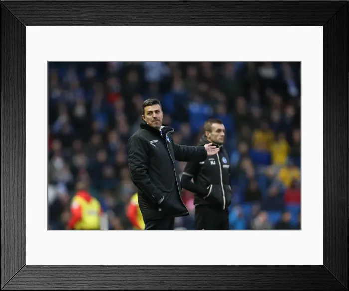 Framed Print : Brighton & Hove Albion vs. Bournemouth: Home Game (January 1, 2014) Framed Print : Brighton & Hove Albion vs. Bournemouth: Home Game (January 1, 2014)