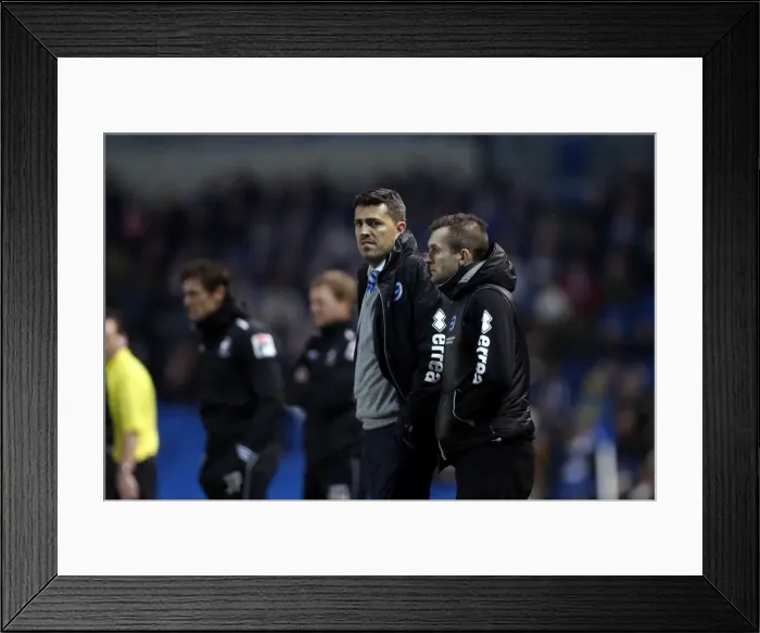 Framed Print : Brighton & Hove Albion vs. Bournemouth: Home Game (January 1, 2014) Framed Print : Brighton & Hove Albion vs. Bournemouth: Home Game (January 1, 2014)